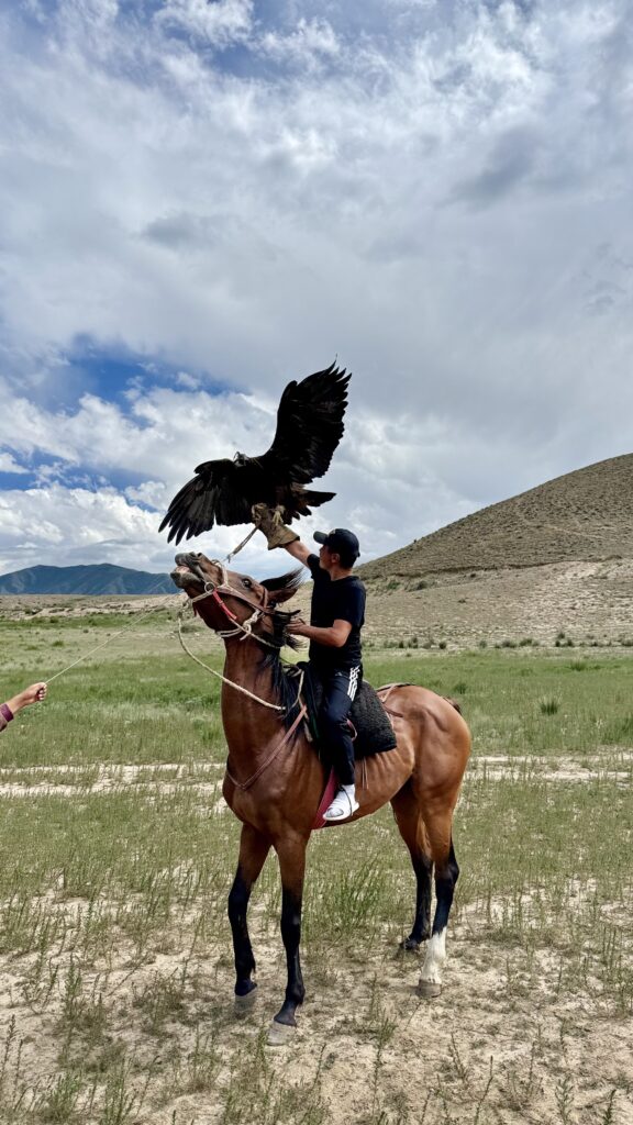 Le cheval au Kirghizstan : une force noble qui lie le passé nomade au présent moderne